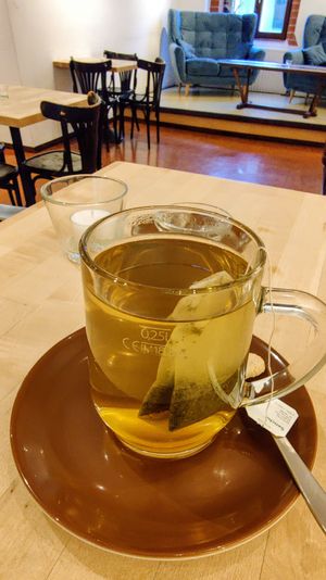 Green tea (Sencha) at Forum 3 in Stuttgart