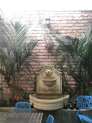 Fountain at VEGANO El Buen Alimento in Cali