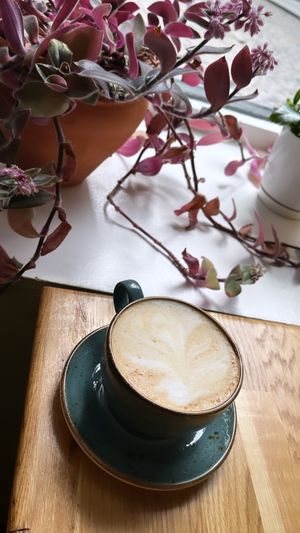 Oat cappuccino ☕️👌🏽  at Trip Cafe in Tallinn