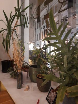 Interior at Trip Cafe in Tallinn