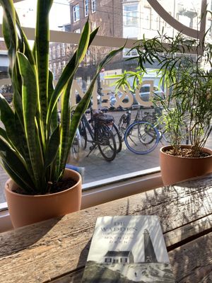   at Wild & The Moon - Van Woustraat in Amsterdam