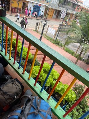 Organic crops outside the restaurant  at Zona ProSalud in Guatape