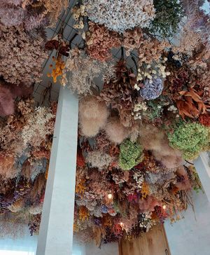  at Ocha Ohana Montblanc in Osaka