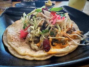 Vegan calamari taco 🌮   at Mayan Kitchen in Sunnyvale