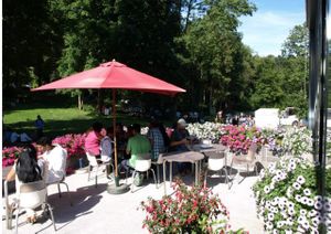 Terras at Govinda's Restaurant in Septon