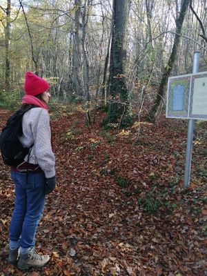 Lovely forest walk with information about the Krsna religion  at Govinda's Restaurant in Septon