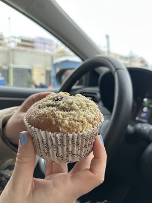 Vegan blueberry muffin  at Coffee House in Rovaniemi
