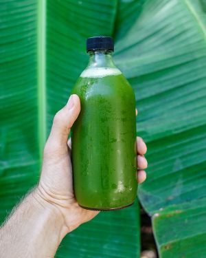 RISA VERDE - Cucumber, pineapple, kale, parsley, lemon, ginger, turmeric, coconut water at Naked Foods in Nosara