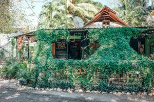 May all meals be healthy + happy. at Naked Foods in Nosara