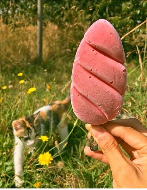 Helados at Del Cerro in Valdivia