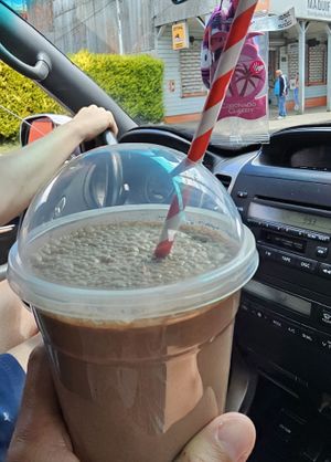  at Del Cerro in Valdivia