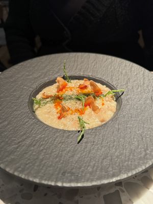   at Coletta in New York City