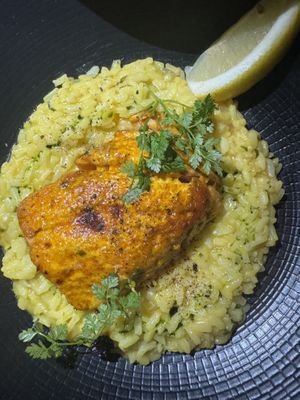 Salmon risotto  at Coletta in New York City