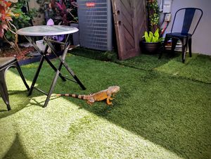  at Gratefuel Cafe in Fort Lauderdale