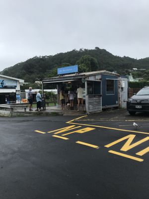   at Little Blue Kitchen in Hahei