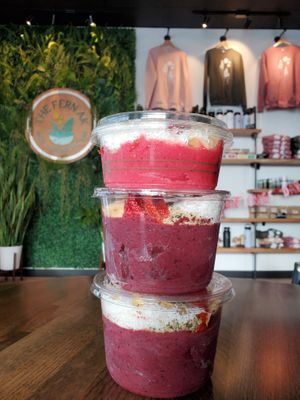 1 10oz Pitaya bowl and 2 16 oz acai bowls! at The Fern AK in Palmer