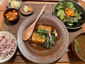 Today's Tofu set.🌱  at Mitsubachi Shokudou  in Gifu