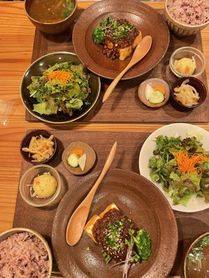 Today's Tofu set.🌱  at Mitsubachi Shokudou  in Gifu