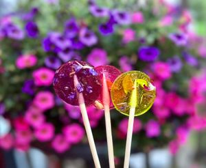 Garden party pops  at The Sweet Botanist Plant Based - Cloud Kitchen in Dallastown