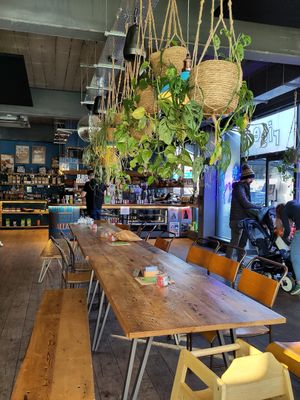 Lovely plants and big windows at Bluebird Bakery in York