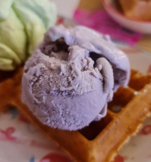 Taro Close up ~ 10/3/22 at Heartbreak Melts in Northeast Singapore