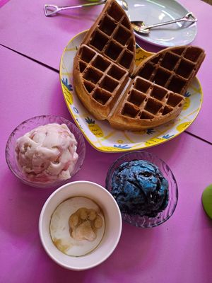 Raspberry & Cookie & Cream & Iced Dog Treat ~ 31/1/24 at Heartbreak Melts in Northeast Singapore