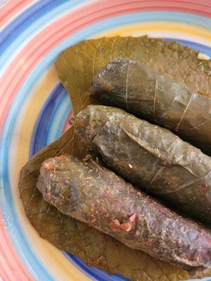 warm 🤢 grape leaves, disgusting! at Marhaba in Minca