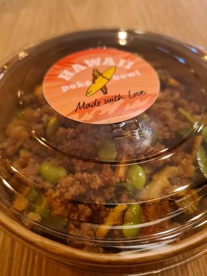 Too much food, so I got a container to take home the rest :) at Hawaii Poké Bowl in The Hague