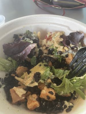   at Gorda Bowls in Punta Gorda