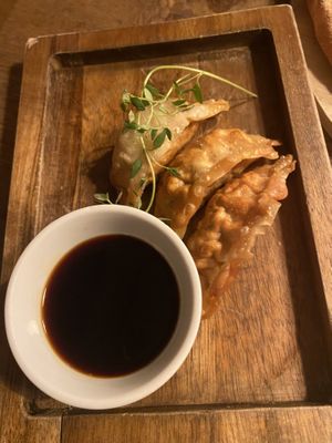 3 of 5 japanese dumplings  at Veganska Ölbaren in Stockholm