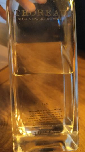  at Veganska Ölbaren in Stockholm