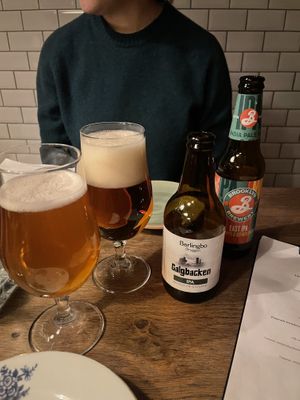 IPA beers  at Veganska Ölbaren in Stockholm