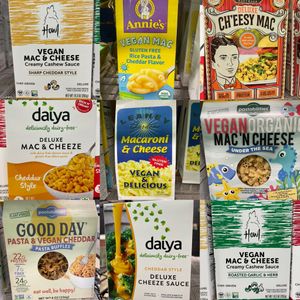   at V Go's Bellingham in Bellingham