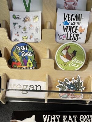   at V Go's Bellingham in Bellingham