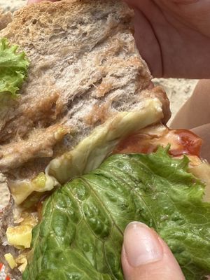real cheese on vegan tofu sandwich😒 at Sandwich Lady in Koh Tao