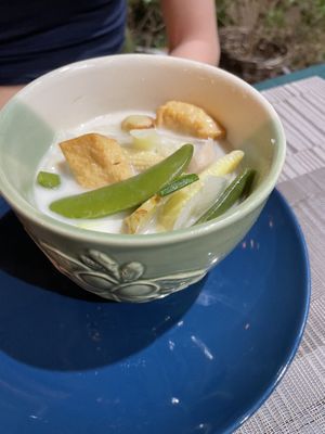  #Veganuary at Beyond The Root in Khao Lak