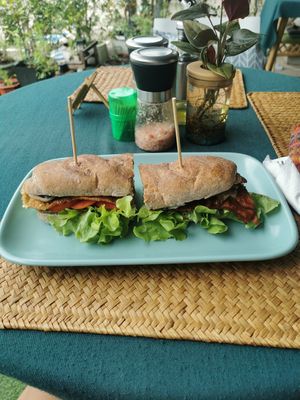  at Beyond The Root in Khao Lak