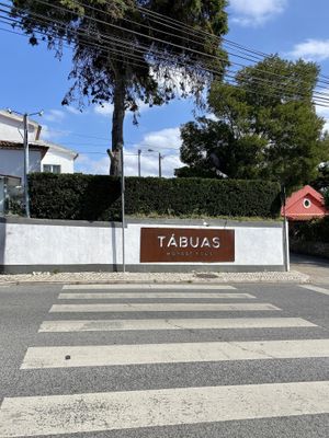 Easy to find  at Tabuas in Sintra