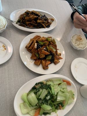   at Tianze Dumpling House in Auckland