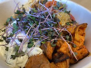 Lunch takeaway, quinoa, sweet potatoes, tzatziki and sprouts. Even good taste, a little spicy, I like hot, but for you who don’t. A bit small serving.   at Vasty Food & Drinks in Aalesund