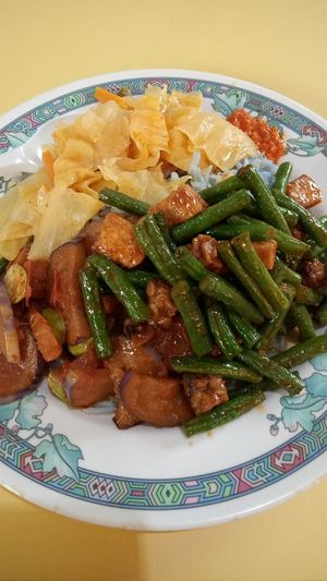 Auntie doesn't sell mock meat at Peranakan Vegetarian in Central Singapore