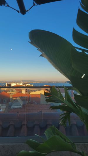 View at Lumi Rooftop Restaurant & Bar in Lisbon