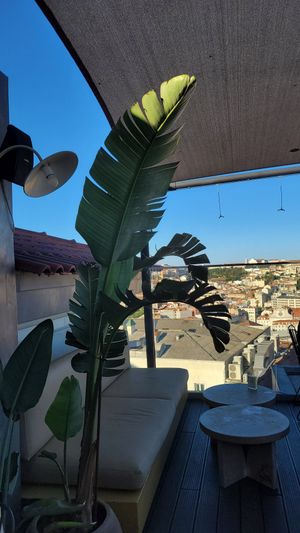 View at Lumi Rooftop Restaurant & Bar in Lisbon