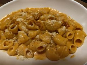 Spicy Lumaconi Pasta  at Planta in Bethesda