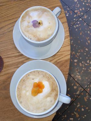 Decaf cappuccino    at Planta in Bethesda