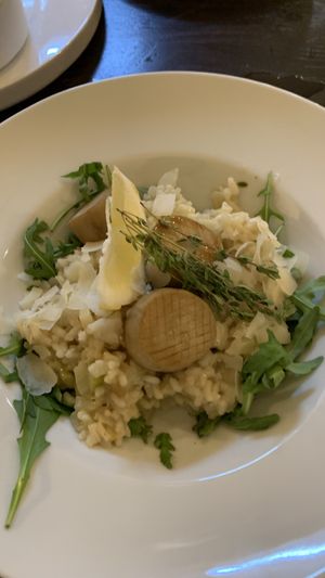 Lemon risotto   at Tisch in Vienna
