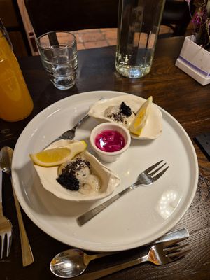 Oysters at Tisch in Vienna