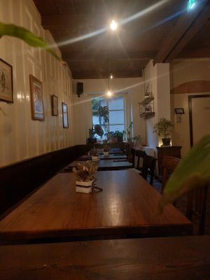 Interior at Tisch in Vienna