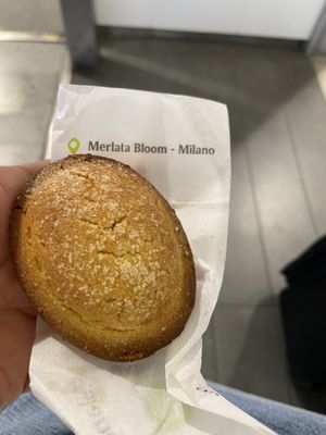Pasticciotto alla crema  at Martinucci Laboratory in Rome