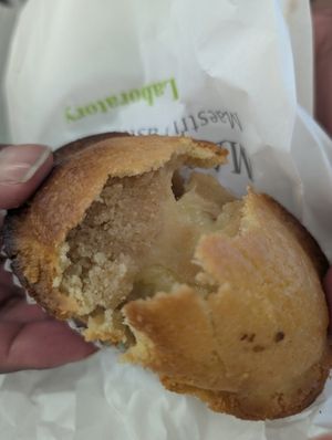  at Martinucci Laboratory in Rome